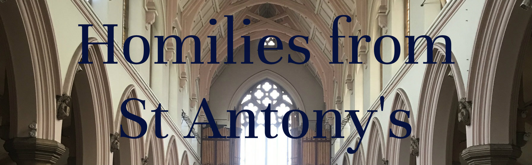 The family is a school of love - homily by Fr Philip Thomas