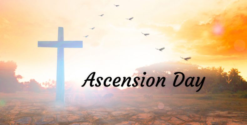 God goes up with shouts of joy - a homily for Ascension by Fr Philip Thomas